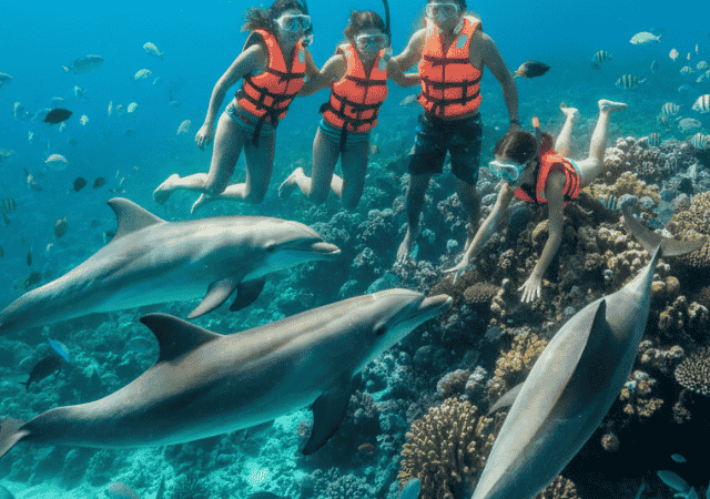 Dolphin House Cruise in Hurghada – Swim & Snorkel with Dolphins